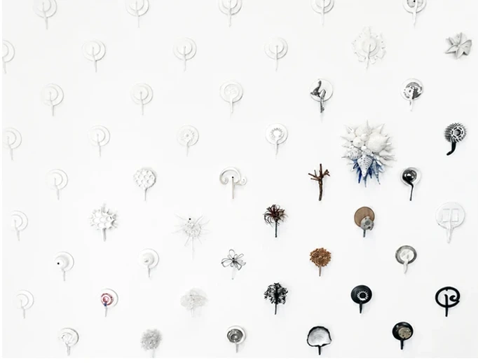 Walkabout installation